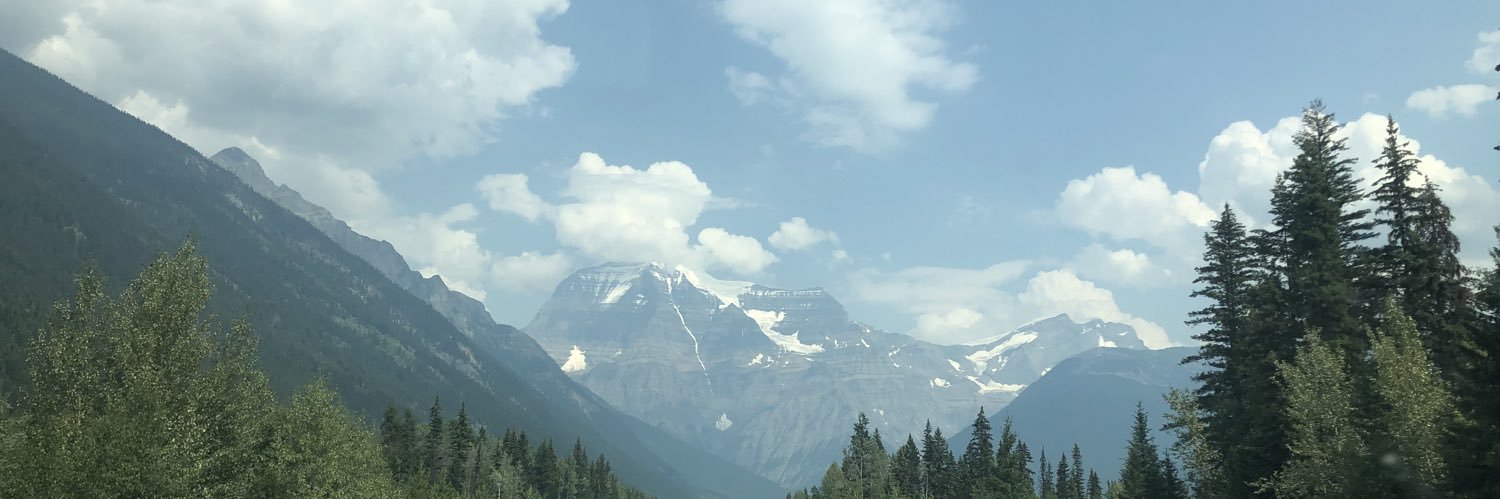 Cass__swan's profile banner image