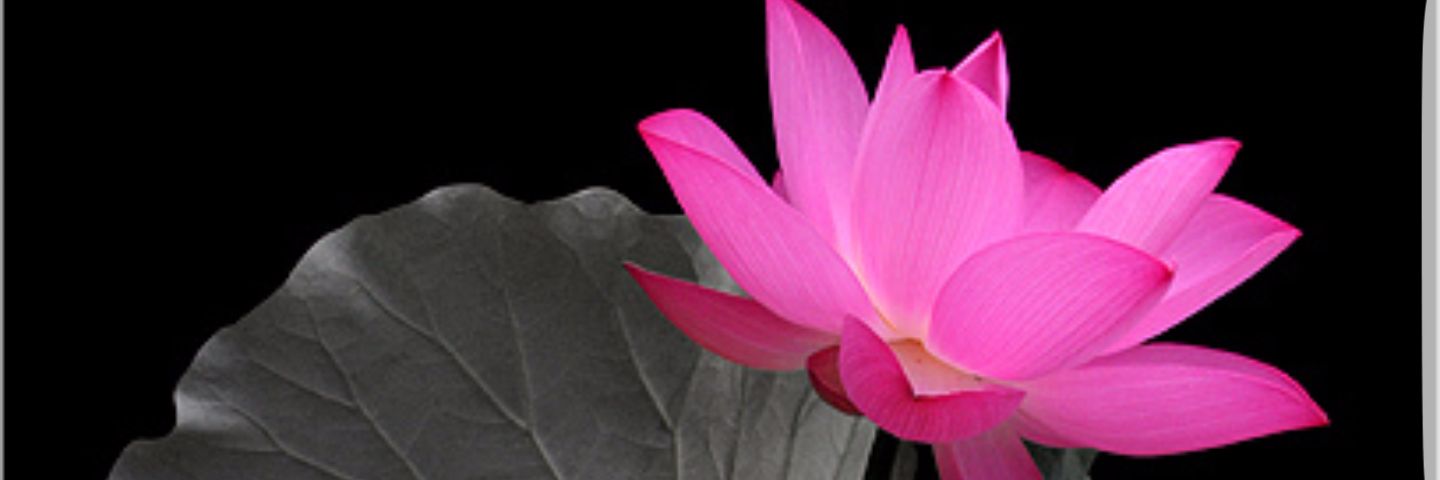 JaLbA04's profile banner image