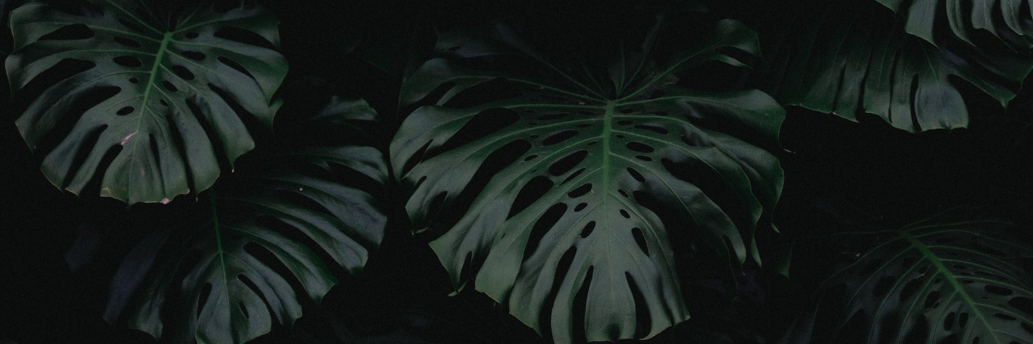 karolsontak's profile banner image