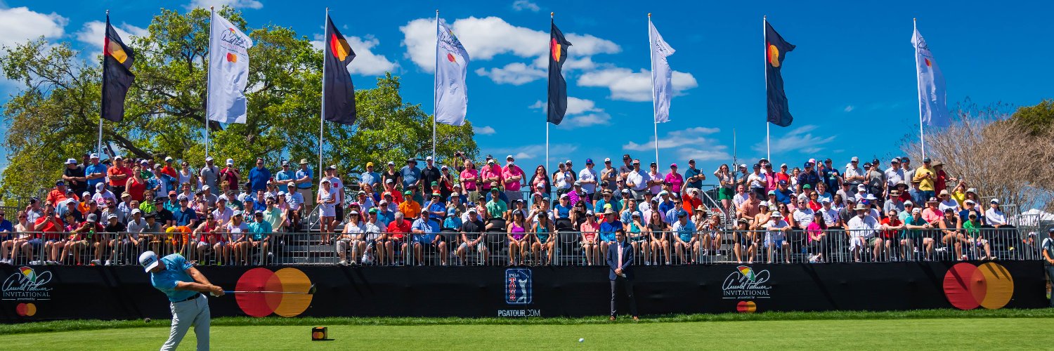 apinv's banner