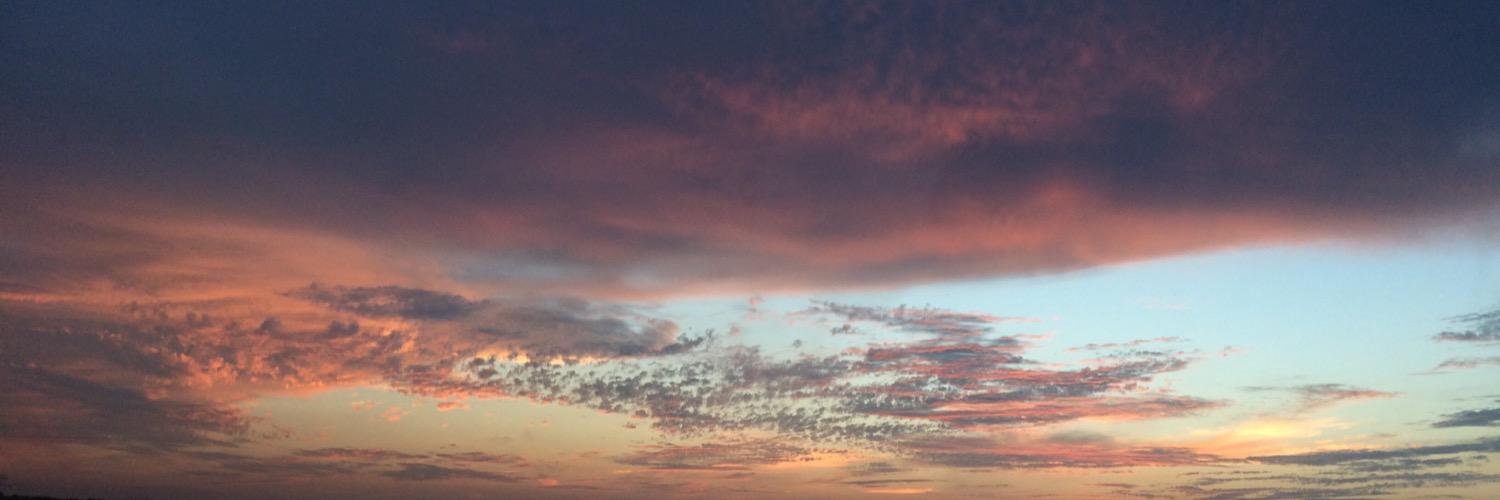 Allie banner