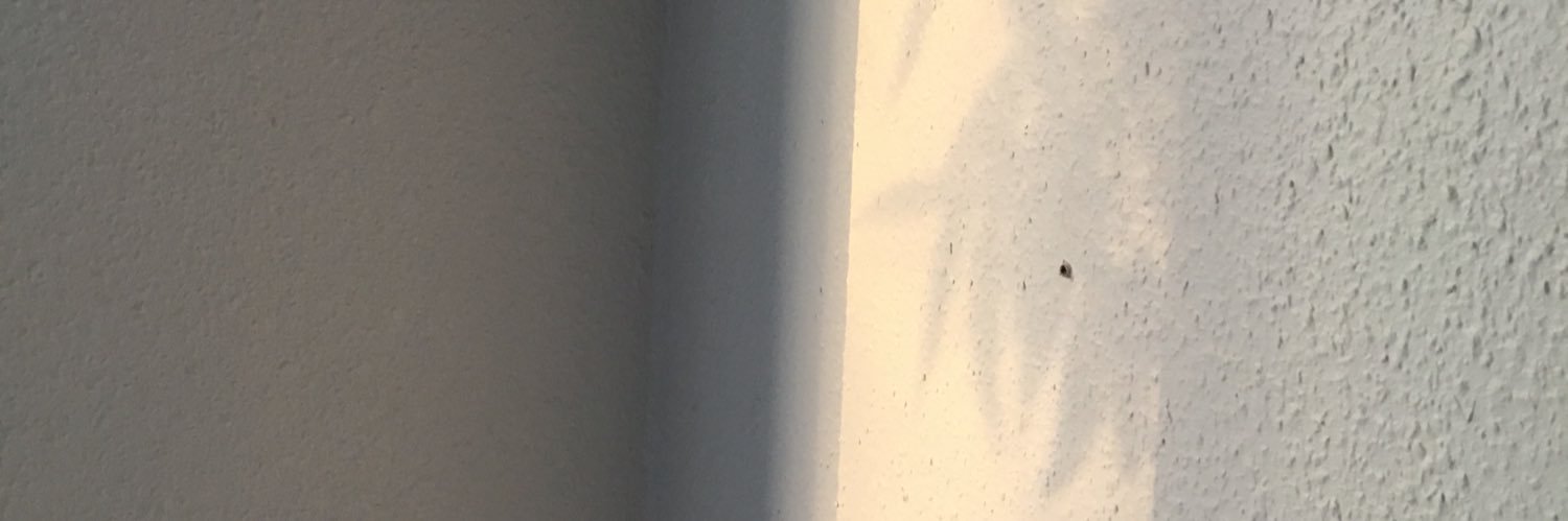 SmilerPower's profile banner image