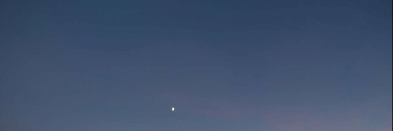 MITCH banner