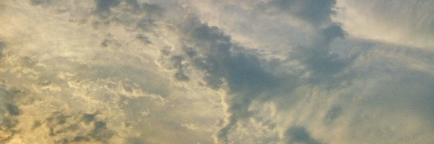 RandhyNoviansya's profile banner image