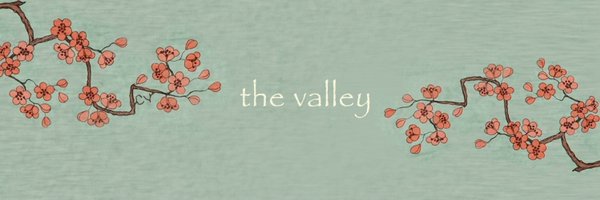 CValley_ Profile Banner