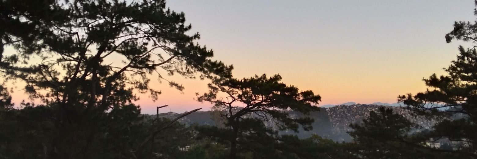 febananaaa's profile banner image