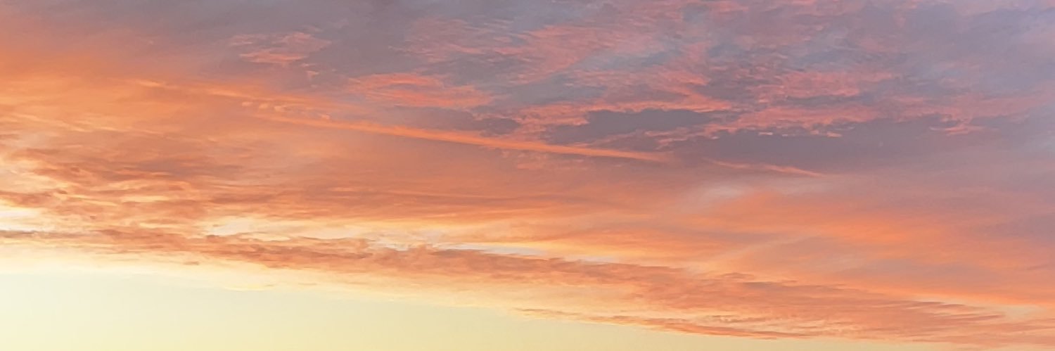 Erika Correri banner