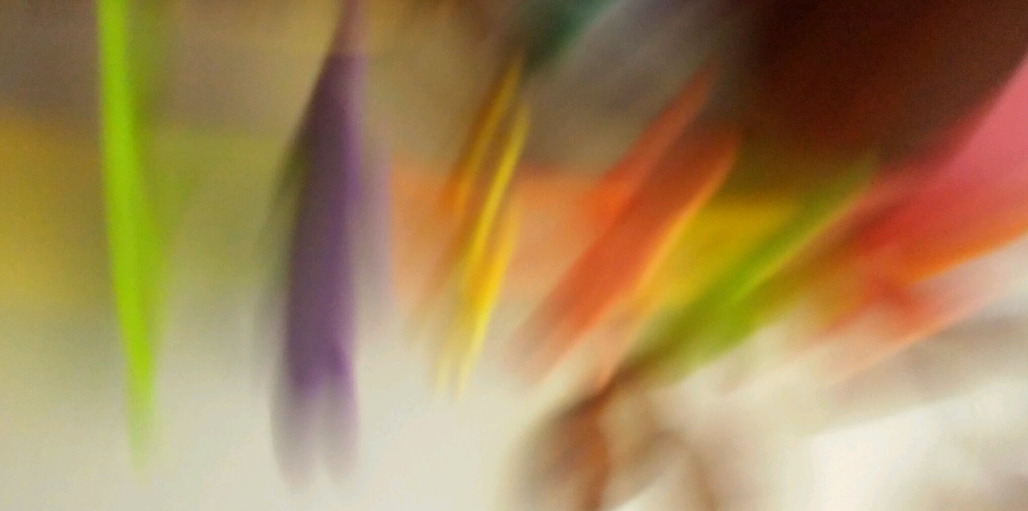 heidimerrall's profile banner image