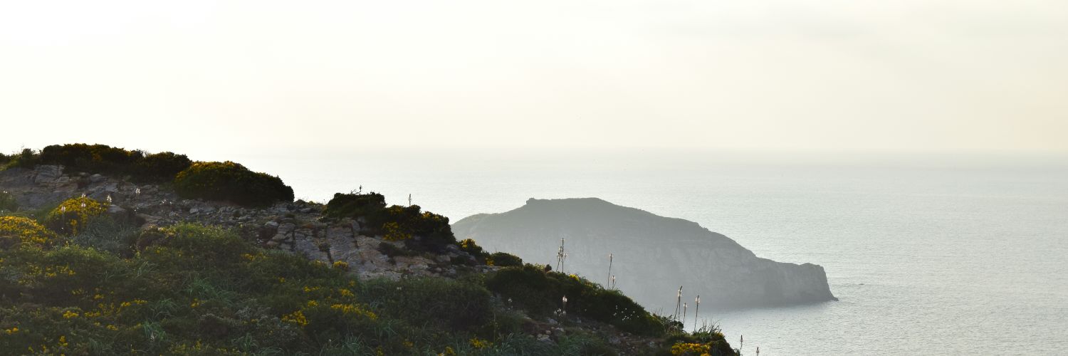 emevelascos's profile banner image