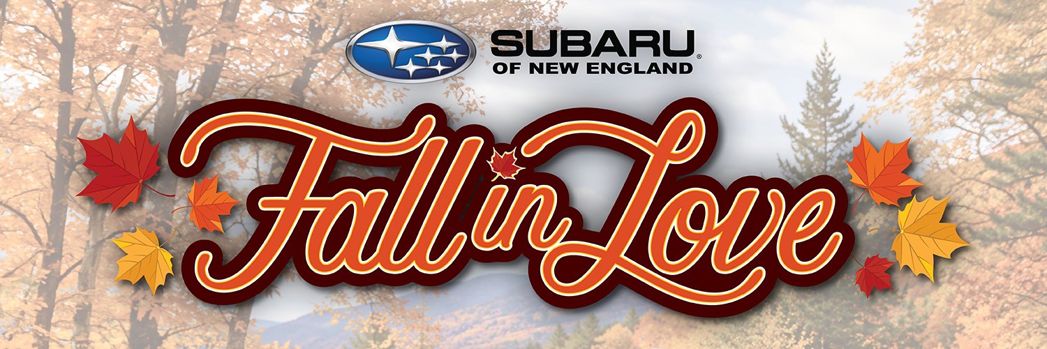 SubaruOfNewEng's profile banner image