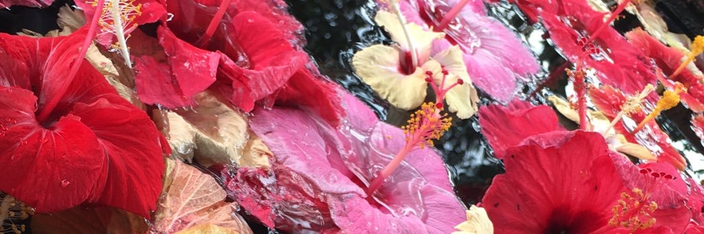 PaaawLaaa's profile banner image