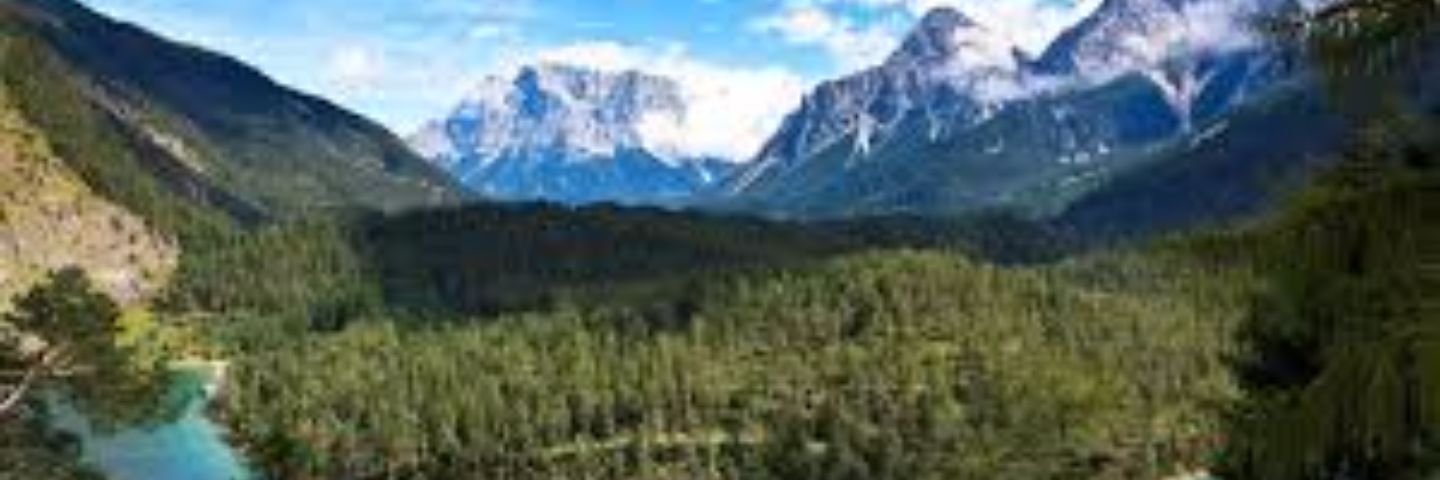 bosko_sticks's profile banner image