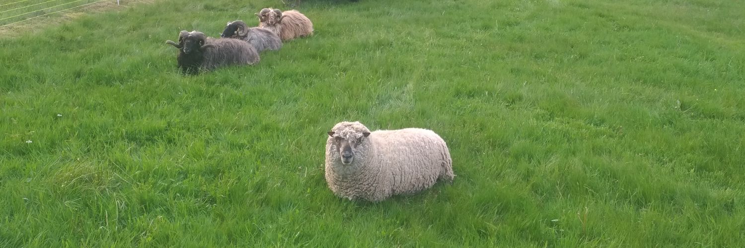 Oliver Kustner banner