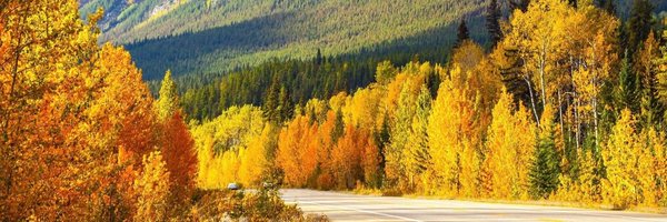 anafternoonnap Profile Banner