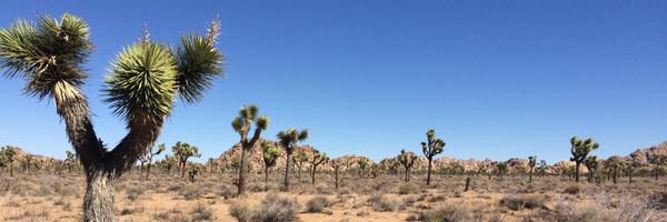 michaelabata Profile Banner