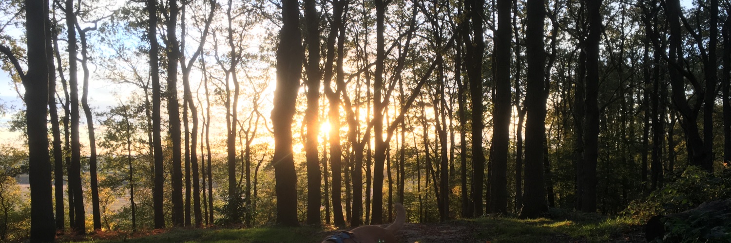 GabbyGasDoc's profile banner image