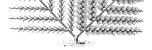 Jack_Thacker Profile Banner