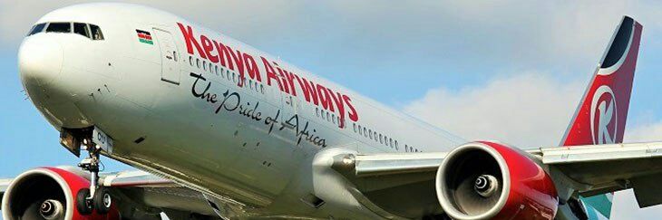 lizndinya's profile banner image