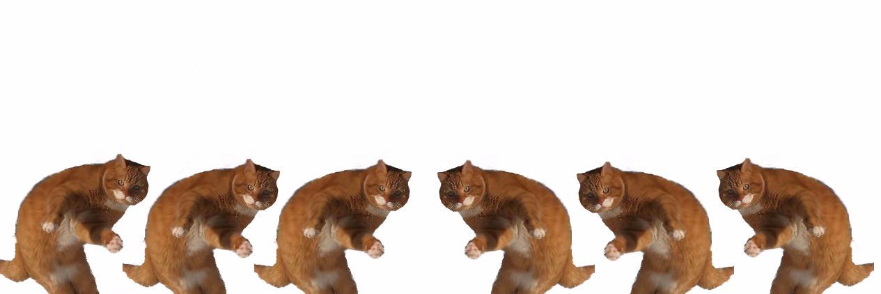 grwntgrwnt's profile banner image