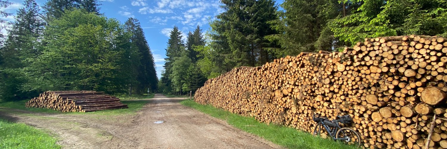 Sam Vanhoutte banner