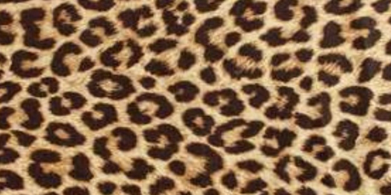 SarahTilley10's profile banner image