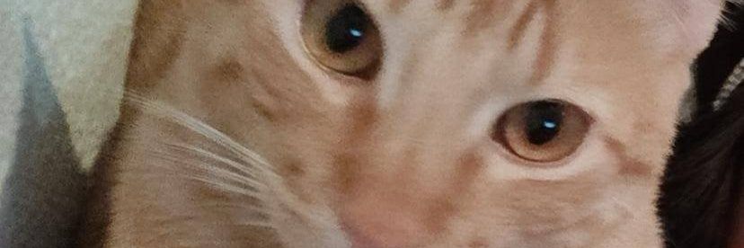 D4FVH's profile banner image