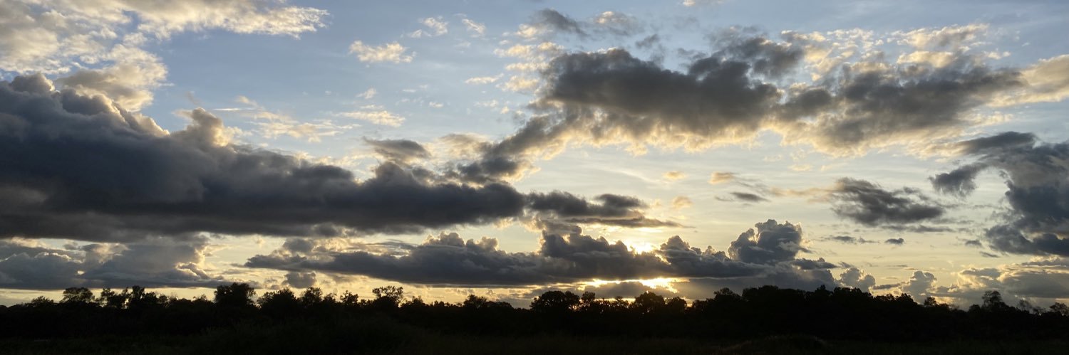 GoldenChiteto's profile banner image