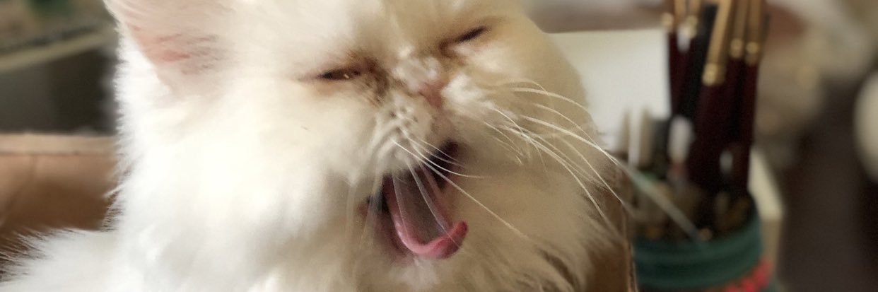 BrittDoan's profile banner image