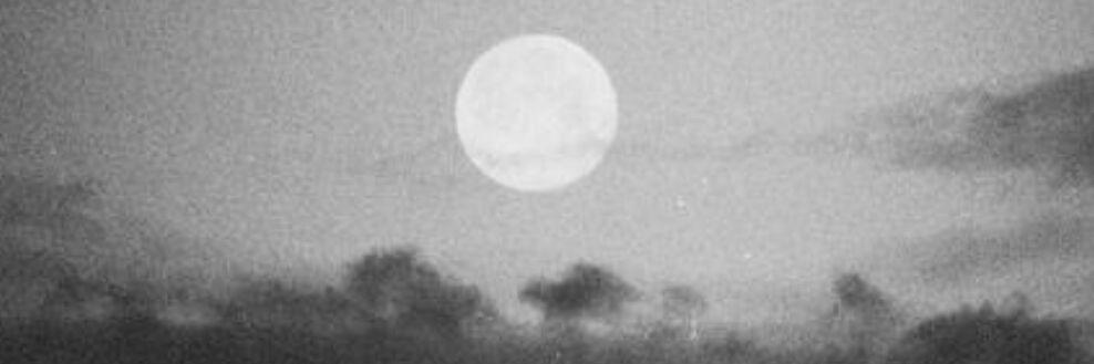 rogrdzz's profile banner image
