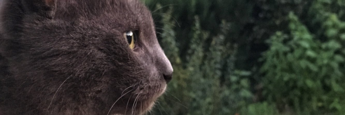 RobFsy's profile banner image
