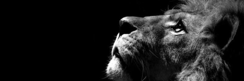 saskiaaa84's profile banner image