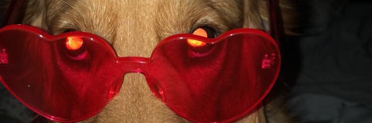 ethanwall7's profile banner image