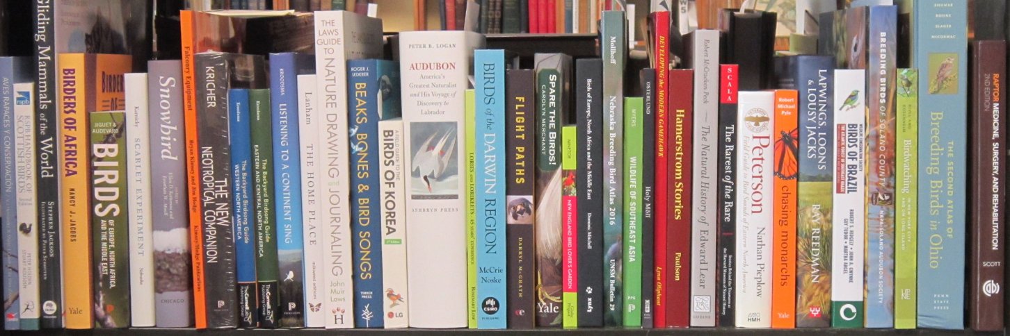 ButeoBooks's profile banner image