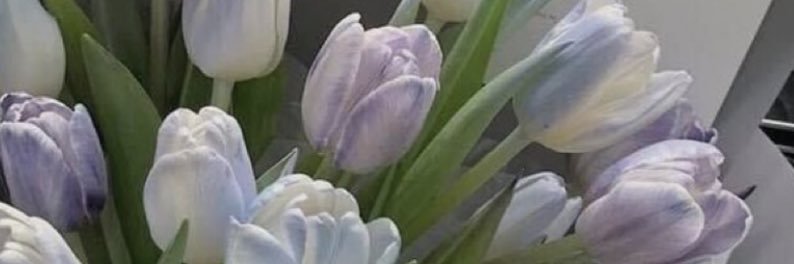 hannahvtl's profile banner image