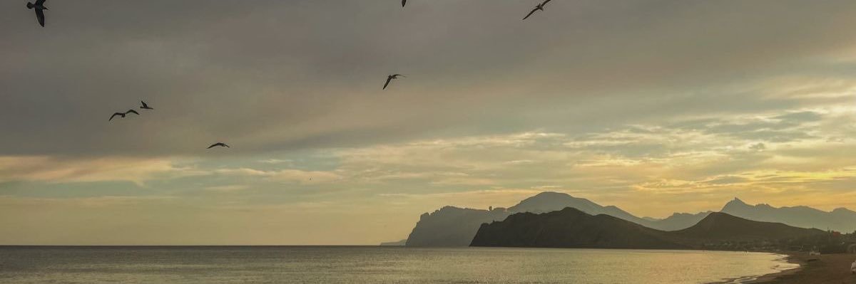 bxebhh's profile banner image