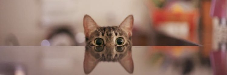 cahterc's profile banner image