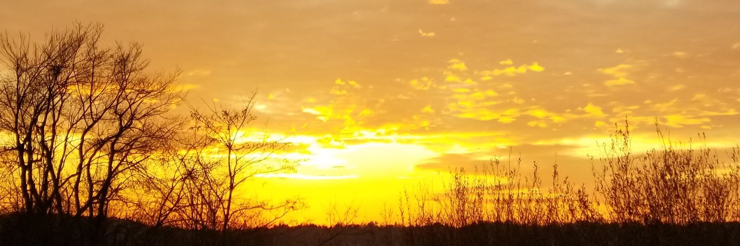 Coops1323's profile banner image