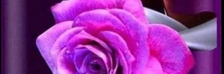 chica_herrera's profile banner image