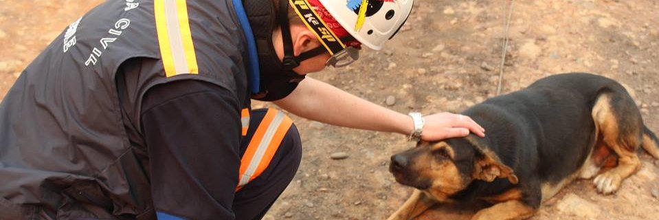 Defensa Civil Chile banner