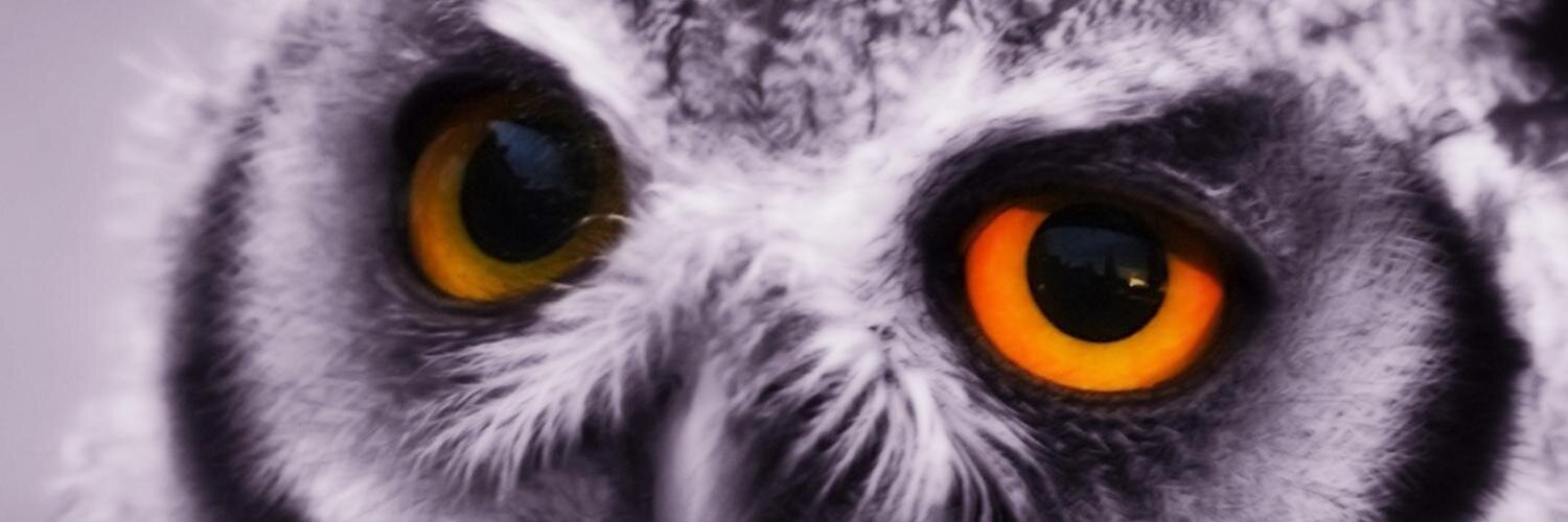 FatiRuizCruz's profile banner image