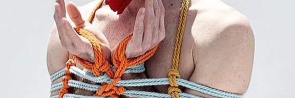 tipicocola's profile banner image