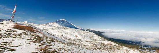 x sex porn  banner