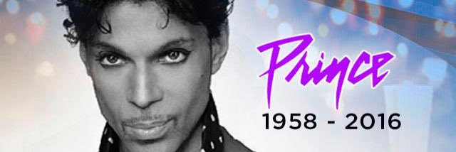 cat_whiten Ⓥ banner