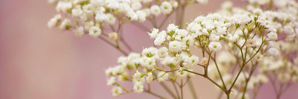 NaomiEIR Profile Banner