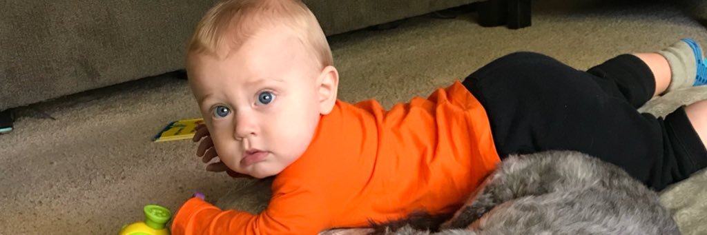 alyssaziebold's profile banner image