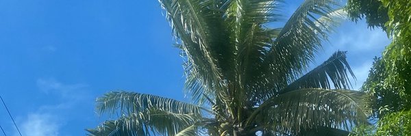 tonganwolf Profile Banner