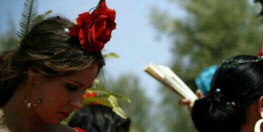 AnaLaura_Navarr's profile banner image