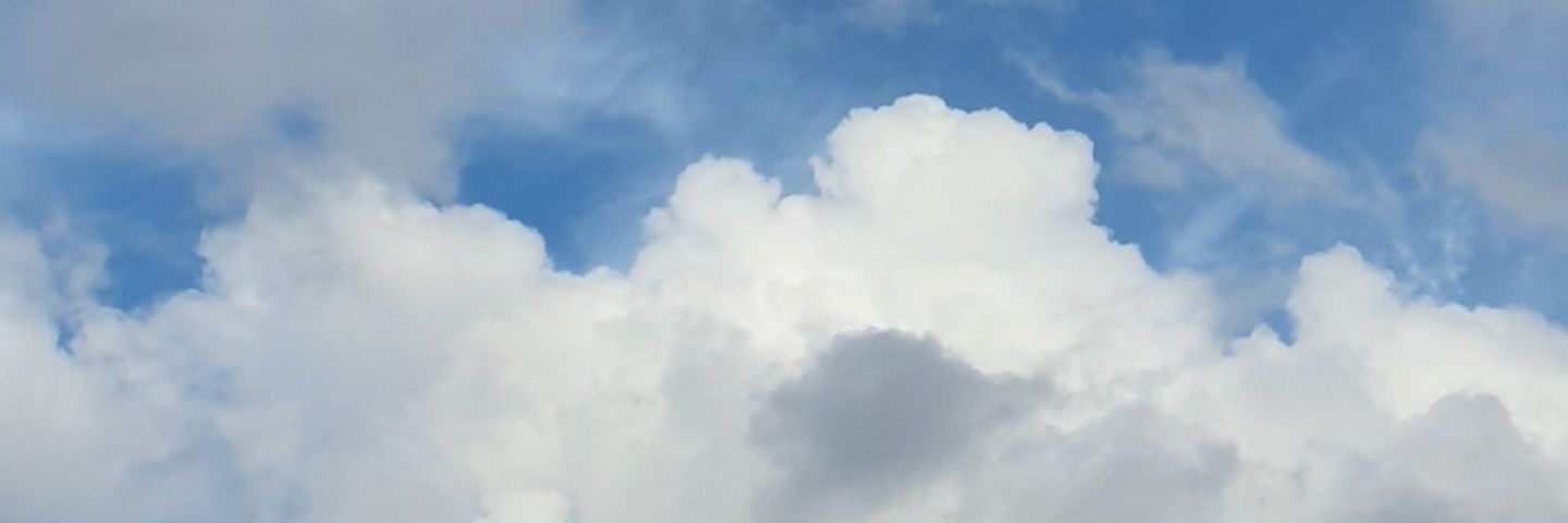 ʕ •ᴥ•ʔ banner