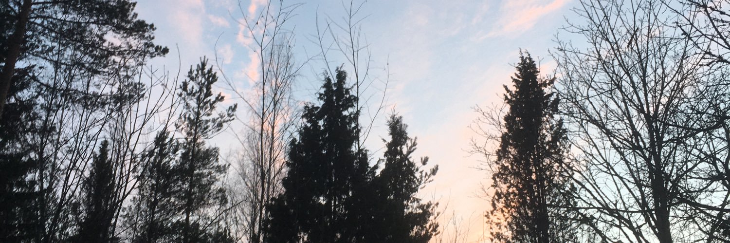rulesofgreen's profile banner image