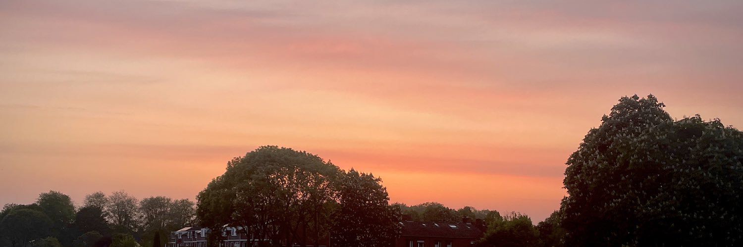 rvdhout's profile banner image